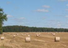A Photo of Farm Fields in Arthur, Ontario