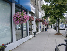 Photo of a Street in Fenelon Falls, Ontario