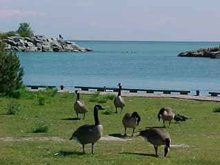 The Bluffs park in Scarborough, Ontario