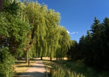 A Photo of the Conley Park, Thornhill Ontario